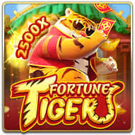 fortune cat slot-Cheio de sorte ícone